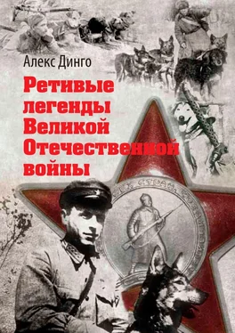 Алекс Динго Ретивые легенды Великой Отечественной войны. Калёный серп и молот боевитой братии обложка книги