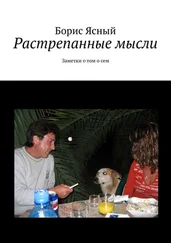 Борис Ясный - Растрепанные мысли. Заметки о том о сём