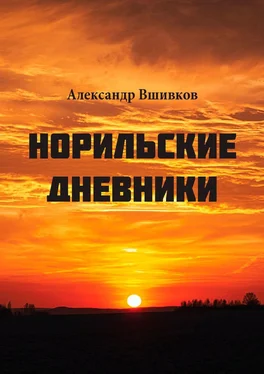 Александр Вшивков Норильские дневники. Малая родина обложка книги