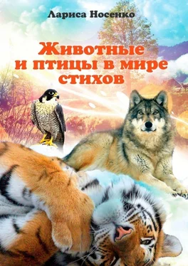 Лариса Носенко Животные и птицы в мире стихов обложка книги