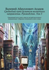 Валерий Асадов - Срединный путь целителя восточного направления. Руководство. Том 3. Срединный путь силы - одна из ветвей восточного направления. Собрание сочинений в пяти томах