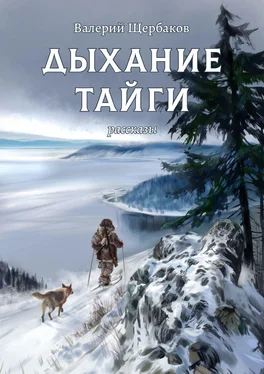 Валерий Щербаков Дыхание тайги. Рассказы обложка книги