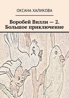 Оксана Халикова Воробей Вилли – 2. Большое приключение обложка книги