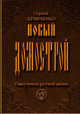 Сергей Кравченко Новый домострой. Самоучитель русской жизни обложка книги