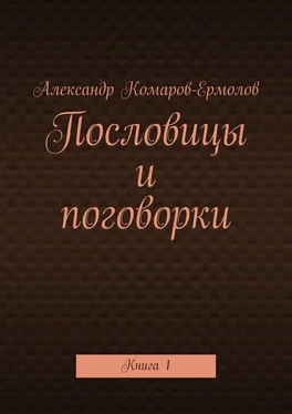 Александр Комаров-Ермолов Пословицы и поговорки. Книга 1 обложка книги