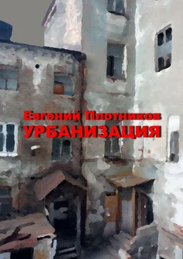 Евгений Плотников Урбанизация обложка книги