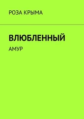 Роза Крыма - Влюбленный. Амур