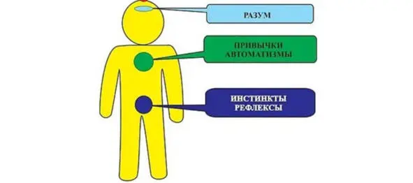 Придуманные человеком теории и картины мира свидетельствуют о том насколько - фото 21