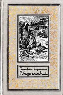 Джалол Икрами Поверженный обложка книги