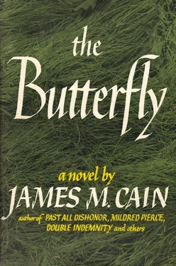 James Cain The Butterfly обложка книги