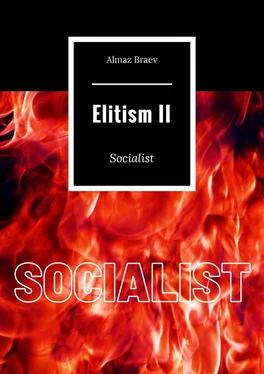 Almaz Braev Elitism II. Socialist обложка книги