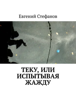 Евгений Стефанов Теку, или Испытывая жажду обложка книги