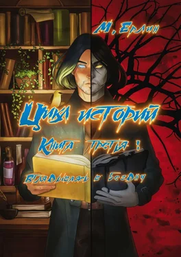 М. Ерлин Цикл историй. Книга третья: Вглядываясь в бездну обложка книги