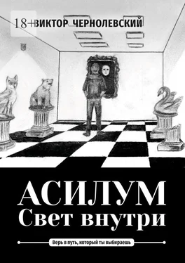 Виктор Чернолевский Асилум. Свет внутри обложка книги