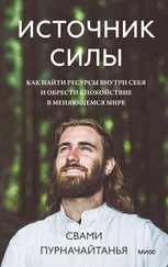 Свами Пурначайтанья - Источник силы. Как найти ресурсы внутри себя и обрести спокойствие в меняющемся мире