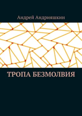 Андрей Андрияшкин Тропа безмолвия обложка книги