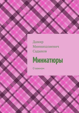 Дамир Садыков Миниатюры. О важном обложка книги