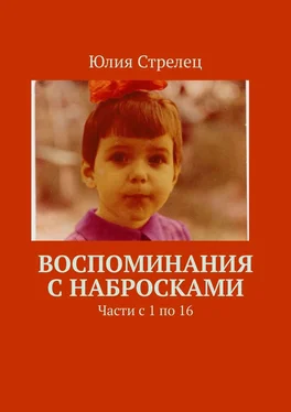 Юлия Стрелец Воспоминания с набросками. Части с 1 по 16 обложка книги