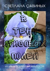Светлана Савиных - В тени ирисовых полей