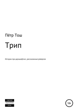 Пётр Тош Трип. Истории про дауншифтинг, рассказанные реверсом обложка книги