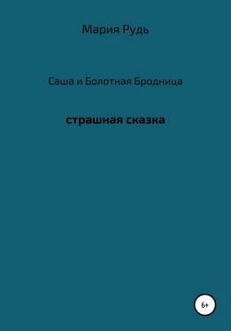 Мария Рудь Саша и Болотная Бродница обложка книги