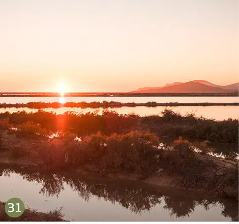 31 SES SALINES In den Estanys des Roig rote Teiche der Salinen wird seit - фото 279