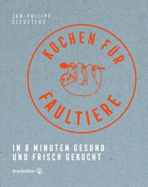 Jan-Philipp Cleusters Kochen für Faultiere обложка книги