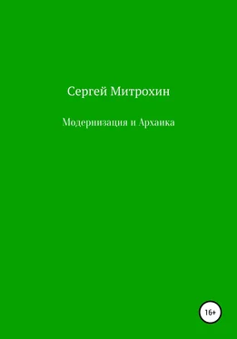 Сергей Митрохин Модернизация и Архаика обложка книги