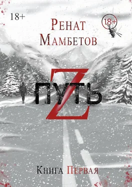 Ренат Мамбетов Путь Z. Книга первая обложка книги