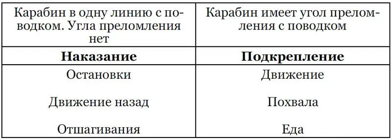 Остановки Как только карабин натянулся и встал в одну линию со стропой - фото 1