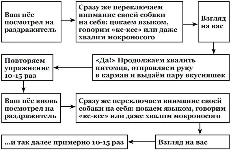 Комуто может показаться что упражнение несколько нелогичное за что хвалить - фото 7