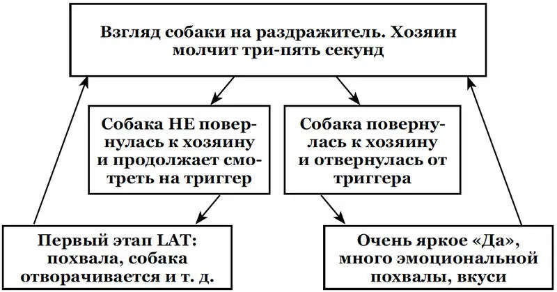 И так еще 1015 раз Идеально если все эти повторения будут по схеме второго - фото 8