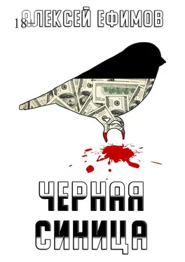 Алексей Ефимов Черная синица обложка книги