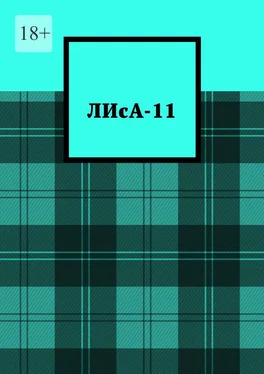 Дарья Хотейкина ЛИсА-11 обложка книги