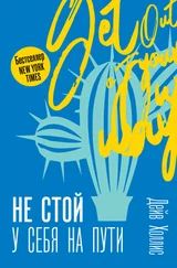 Дейв Холлис - Не стой у себя на пути. Руководство скептика по развитию и самореализации