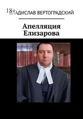 Владислав Вертоградский - Апелляция Елизарова