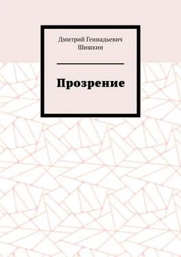 Дмитрий Шишкин Прозрение обложка книги