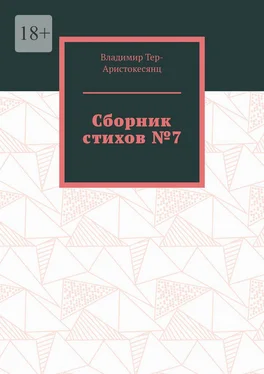 Владимир Тер-Аристокесянц Сборник стихов №7 обложка книги