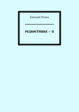 Евгений Попов Редкостишье – II обложка книги