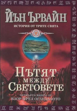 Йън Ървайн Пътят между световете обложка книги