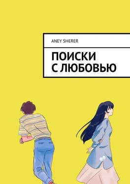 Aney Sherer Поиски с любовью обложка книги