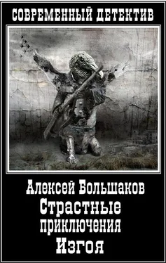 Алексей Большаков Страстные приключения Изгоя (СИ) обложка книги