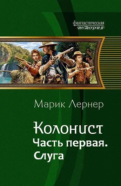 Марик (Ма Н Лернер) Лернер Колонист. Слуга (СИ) обложка книги