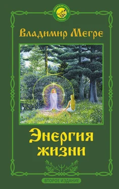 Владимир Мегре Энергия жизни обложка книги