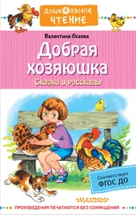 Читать книгу: «Динка. Динка прощается с детством (сборник)», страница 15