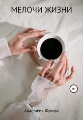 Анастасия Жукова - Мелочи жизни