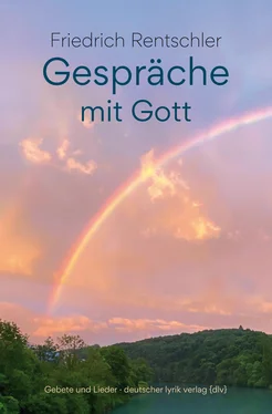 Friedrich Rentschler Gespräche mit Gott обложка книги