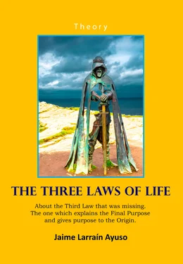 Jaime Larraín The Three Laws of Life обложка книги