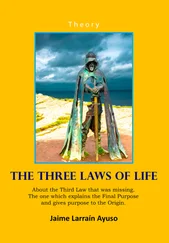 Jaime Larraín - The Three Laws of Life