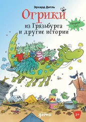 Эрхард Дитль - Огрики из Грязьбурга. Сборник историй